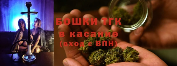 ГАЛЛЮЦИНОГЕННЫЕ ГРИБЫ Беломорск