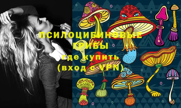 кокаин перу Богданович