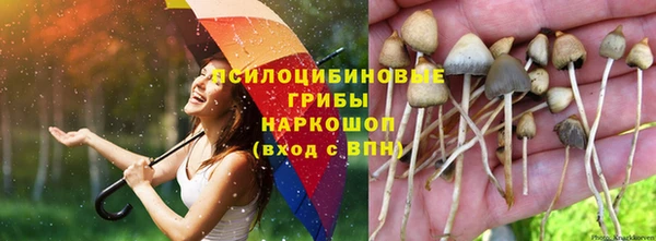 ГАЛЛЮЦИНОГЕННЫЕ ГРИБЫ Беломорск