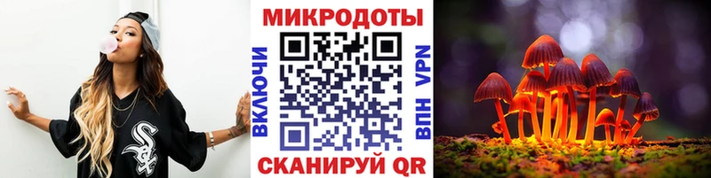 где можно купить наркотик  Боровичи  Псилоцибиновые грибы Psilocybine cubensis 